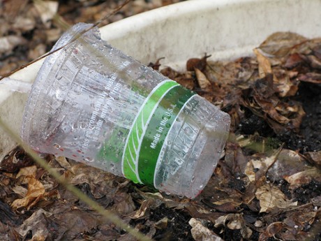 Bioplastic recycle